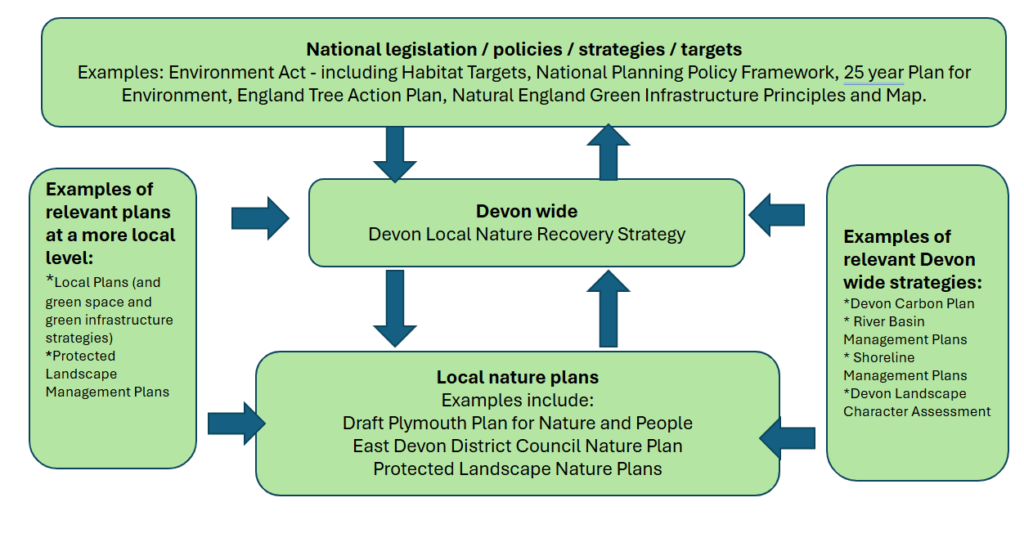 Nestedsuite diagram showing national legislation/policies/strategies/targets; examples of relevant Devon-wide strategies like the Devon Carbon Plan; Local Nature Plans (like EDDC Nature Plan); examples of relevant plans at a more local level; and Devon-wide - the Devon LNRS.